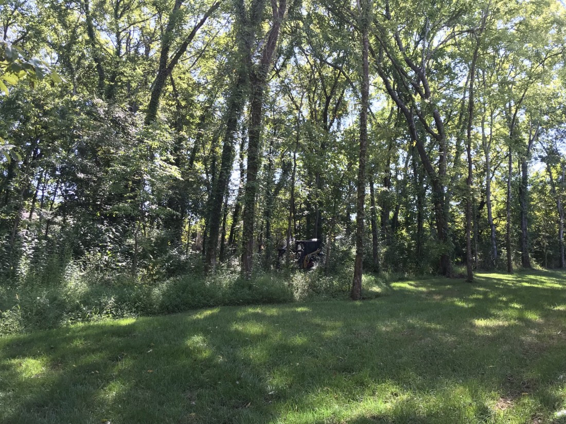 Brush Clearing: Brush Removal in Nashville | All Terrain Land Clearing and Brush Control - image5